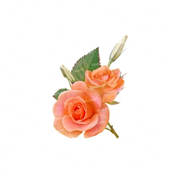 Tri Ratels QCF183 Ročno poslikane Lepe rožnate vrtnice doma dekoracijo stenske nalepke, wc Decal